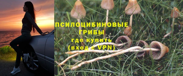 хмурый Алексин