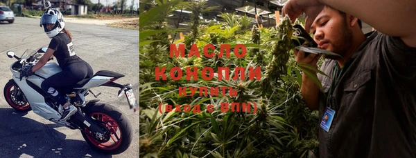 стаф Медногорск