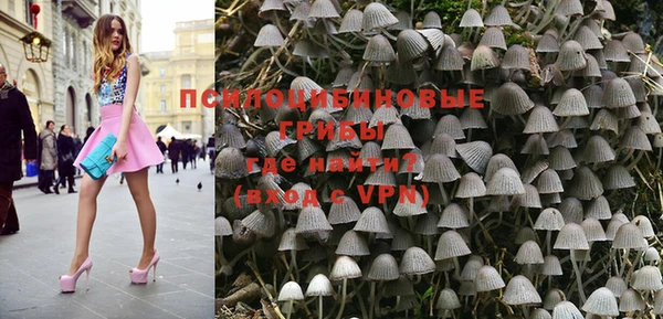 хмурый Алексин