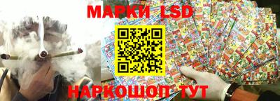 a pvp Заводоуковск