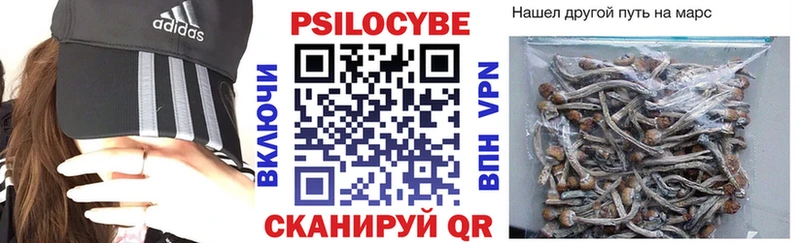 Галлюциногенные грибы Cubensis Вологда
