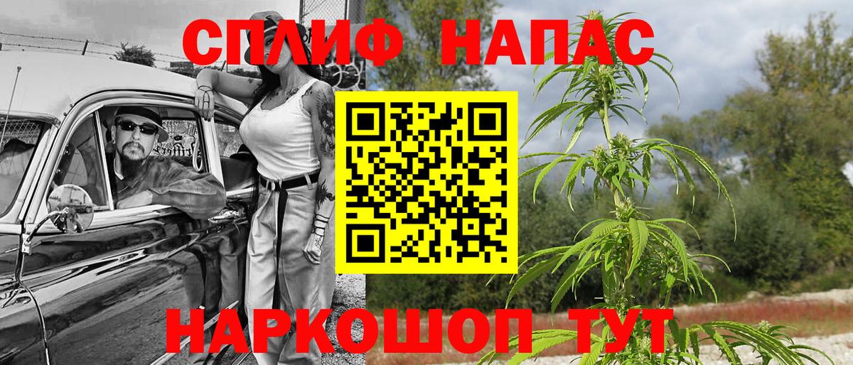 Каннабис планчик Вологда